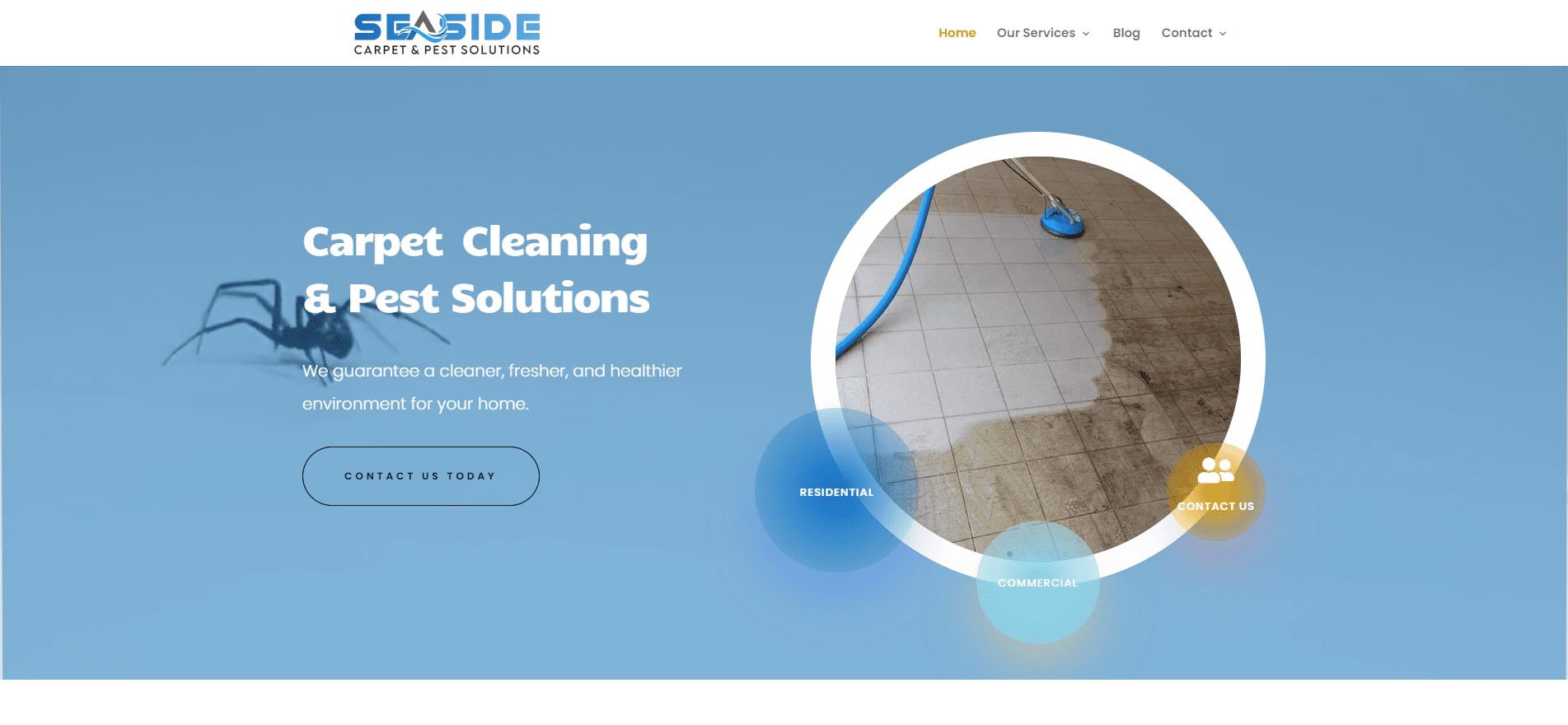 Seaside Carpet & Pest Solutions Online Optimisation