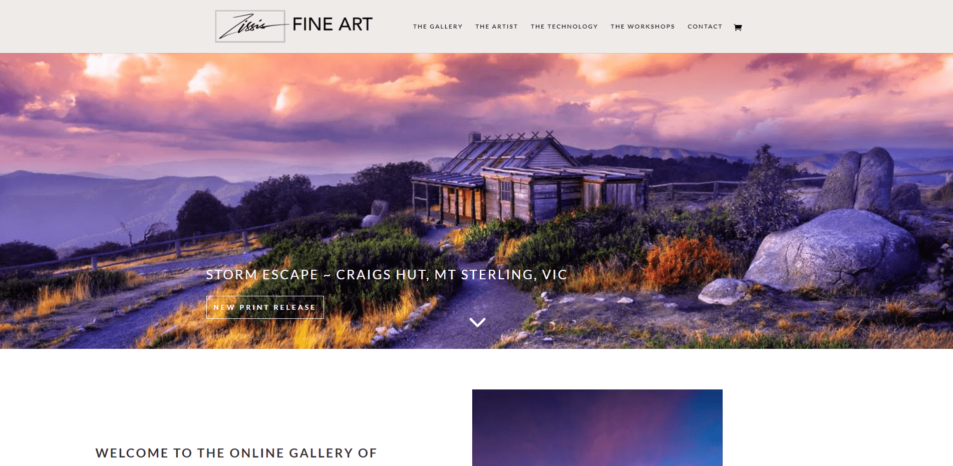 Mark Zissis Online Optimisation